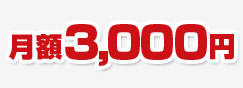 月額5,000円